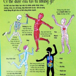 Cuốn sách khổng lồ về cơ thể người (mới) 503788