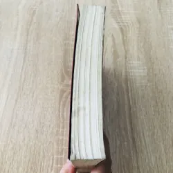 NHỮNG VẤN ĐỀ VĂN HÓA VIỆT NAM ĐƯƠNG ĐẠI  1007296