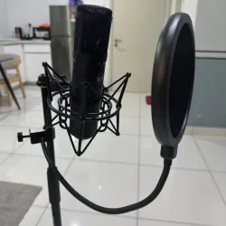 WA Microphone Jr 799597