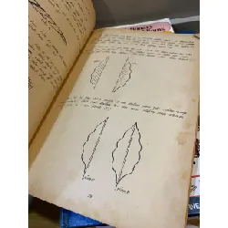 Phương pháp tự học làm hoa vải hoa giấy - Quốc Linh