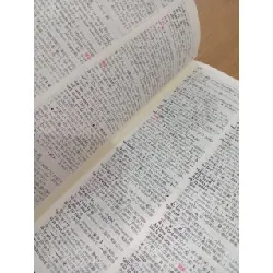 Taishukan's genius English-Japanese dictionary