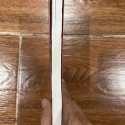 Mưa ở kiếp sau - Đoàn Minh Phượng (15) 570554