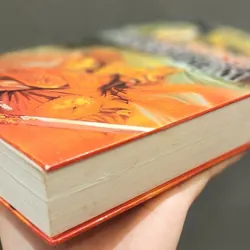 CHUNG VÔ DIỆM (bìa cứng) 704189