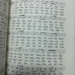 Thánh ca: Đáp ca và tiền xướng Tin Mừng năm A B C - Lm. Bùi Ninh 734652