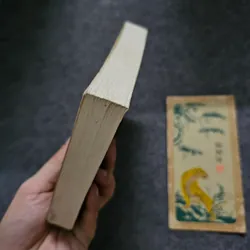 Chân trời có người bay - Đỗ Lai Thúy 736602