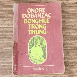 Tiểu thuyết của đại văn hào H. De Balzac: BÔNG HUỆ TRONG THUNG (441 trang)