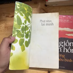 II Combo Sách: Phút Nhìn Lại + Hạt Giống Tâm Hồn _ Từ Những Điều Bình Dị 698018