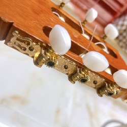 Đàn guitar Classic 6783