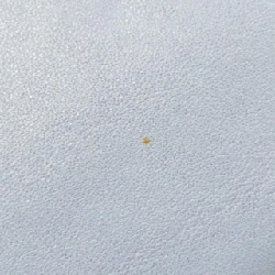 Túi đeo vai Coach 53404 611242