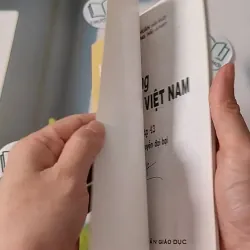 Theo Dòng Lịch Sử Việt Nam - Triều Nguyễn Đại Bại 43 - Lý Thái Thuận 970239