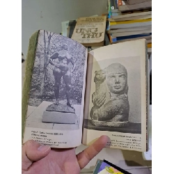 Modern American Painting and Sculpture by Sam Hunter mới 70% ố rách bìa 1962 ENGLISH BOOKS HCM2908 922534