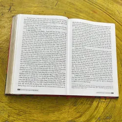 LỊCH SỬ CỔ ĐẠI VIỆT NAM- ĐÀO DUY ANH 689634