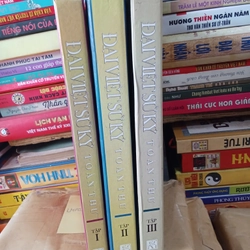 Đại Việt Sử Ký Toàn Thư Bản In Nội Các Quan Bản