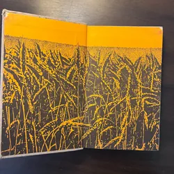 📖 Đất vỡ hoang (trọn bộ 2 tập)  602476