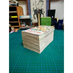 Truyện Tranh Đôi Tay Kỳ Diệu - Izumi Tsubaki 717578