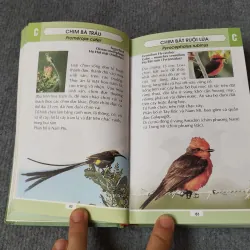 TỪ ĐIỂN TRANH VỀ CÁC LOÀI CHIM 719833