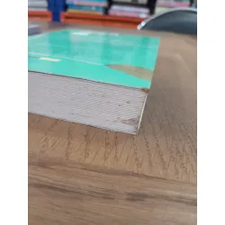 Trái táo còn xanh - Tần Nhạc 474587