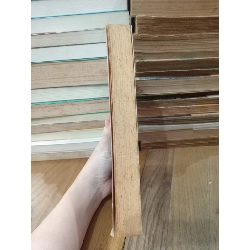 The Walking Dead: the Fall of the Governor (part 2) - Robert Kirkman 330645