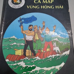Tintin cá mập vùng hồng hải 
