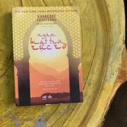 COMBO NGƯỜI ĐUA DIỀU & NGÀN MẶT TRỜI RỰC RỠ 745813