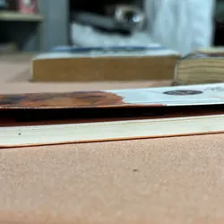 Thiên thần nhỏ của tôi 🌊 592198