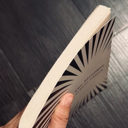 The Stranger (Người Xa Lạ)  532091