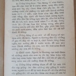 KỸ THUẬT TRỒNG VÀ CHẾ BIẾN DƯỢC LIỆU  751647