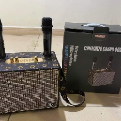 Loa karaoke bluetooth sk2039