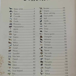 An Anthology of Intriguing Animals 538463