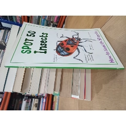 Spot 50 insects: How to identify 50 species 681973