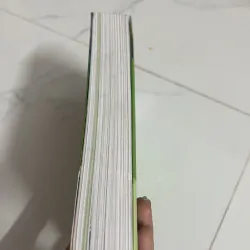 Vietnam  Dumont 1008137