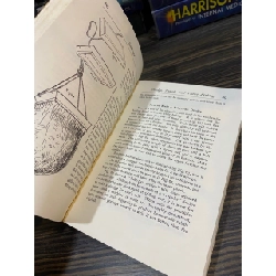 The American Boys Handy Book - D. C. Beard 740803