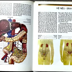 TẬP HÌNH ẢNH MỚI VỀ CẤU TRÚC CƠ THỂ NGƯỜI - VANIO VANNINI & GIULIANO POGLIANI 1044698