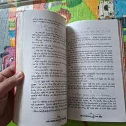 Cuộc Sống Có Nhiều Lựa Chọn Nên Hãy Chọn Niềm Vui 927440