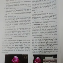 BỆNH HỌC TIM MẠCH  593432