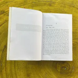 CUỒNG PHONG - nguyễn phan hách 974759