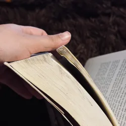 Cây người - Patrick White 756440