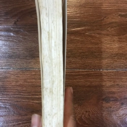 Bí mật triều đại Yamato (k1) 518371