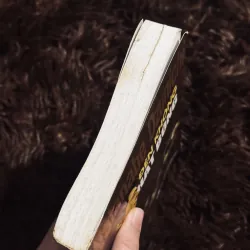 Đèn không hắt bóng 745666