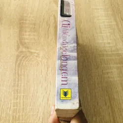 AI HIỂU ĐƯỢC LÒNG EM 999343