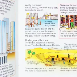 What's Under the Ground ? (Usborne Starting Point Science) 270574