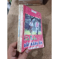 Mùa xuân đầy nắng ấm - Hồng Vân mới 70% ố (Văn học Việt Nam) HLSC2404