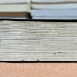 Thế giới phẳng 🌊 599605