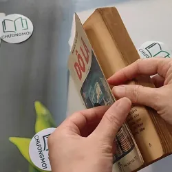 [XƯA] Đô La (1991) - Nguyễn Hữu Vang 776052