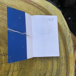 CHUYỆN TÌNH ĐẪM LỆ- AZIT NEXIN 735557