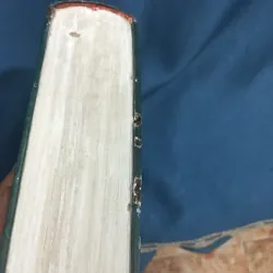 Ngữ lâm thú thoại 1002982