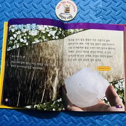 FULL SET NATIONAL GEOGRAPHIC KIDS – TIẾNG HÀN 25 CUỐN  706368