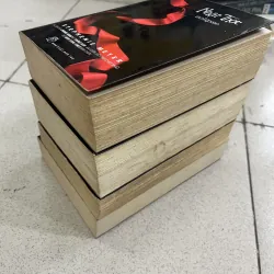 CHẠNG VẠNG, NHẬT THỰC, TRĂNG NON, HỪNG ĐÔNG - TỊNH THUỶ 756120