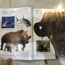 Từ điển động vật bằng hình  748516