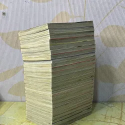 Whistle full 24 tập (1c poto) 1006974